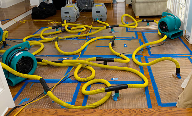 Professional Water Extraction technician working in Oakland, IA